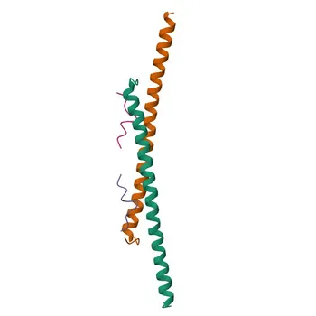 Anti-TCF12 Rabbit Polyclonal Antibody for WB, ELISA - Q99081