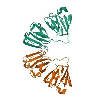 Anti-CRYGS Polyclonal Antibody for WB, ELISA - P22914