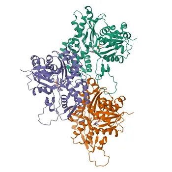 ACTC1 Rabbit Polyclonal Antibody for WB, IHC-P, ELISA - P68032
