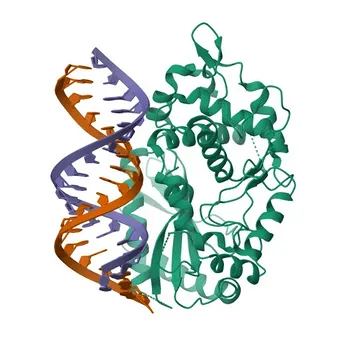 Anticorpo Policlonale Anti-OAS3 di Coniglio per WB, IHC-P, IF/ICC, ELISA - Q9Y6K5