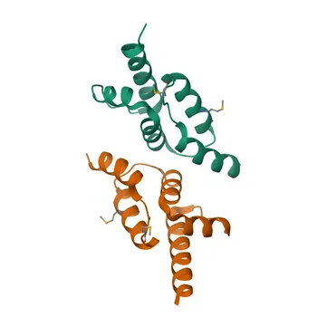 Anti-PEG10 Rabbit Polyclonal Antibody for WB, IHC-P, ELISA - Q86TG7