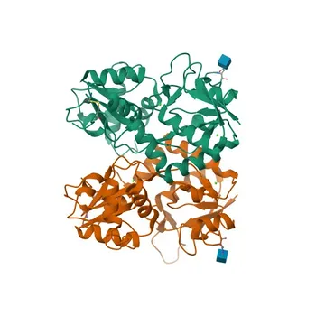 Anti-GRID1 Polyclonal Antibody for WB, IF/ICC, ELISA - Q9ULK0