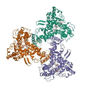 Anti-ATG9A Polyclonal Antibody for WB - Q7Z3C6