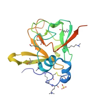 Anti-MSRB3 Rabbit Polyclonal Antibody for WB, IF/ICC, ELISA - Q8IXL7