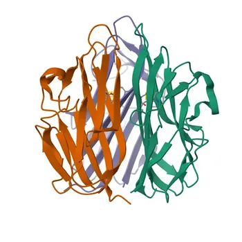 EDA Rabbit pAb for WB, IHC-P, IF/ICC, ELISA - Q92838