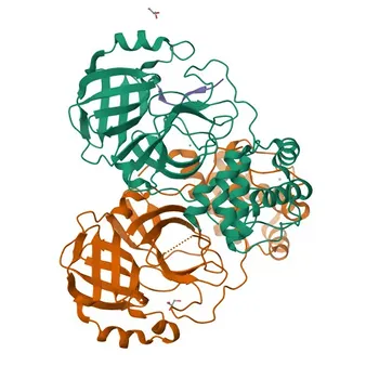 Anti-TRMT1 Polyclonal Antibody for WB, ELISA - Q9NXH9