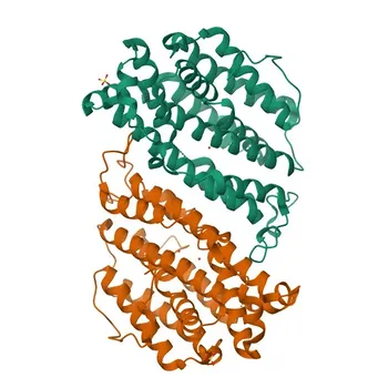 Anti-RRM2B Rabbit Polyclonal Antibody for ELISA and IF/ICC - Q7LG56