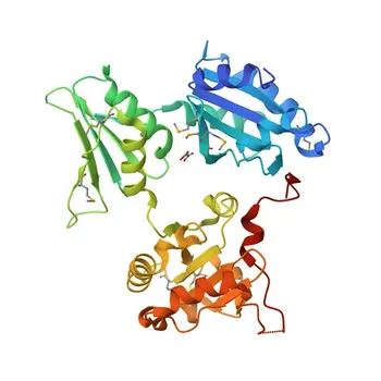 Anti-ERP44 Rabbit Polyclonal Antibody for WB, ELISA - Q9BS26