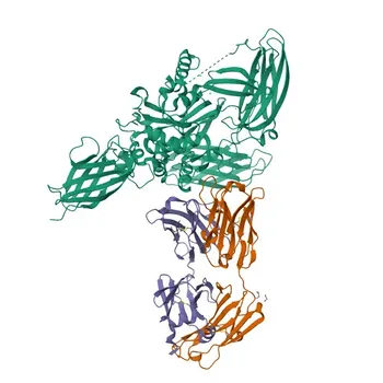Anticorpo Policlonale Anti-TGM3 per WB, IF/ICC, ELISA - Q08188