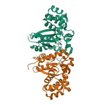 Anti-GSTK1 Rabbit Polyclonal Antibody for WB, IHC-P, IF/ICC, ELISA - Q9Y2Q3