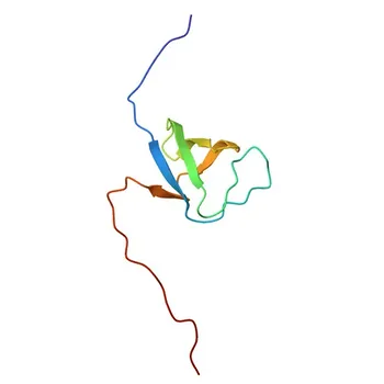 Anti-ARHGEF9 Rabbit Polyclonal Antibody for WB, ELISA - O43307