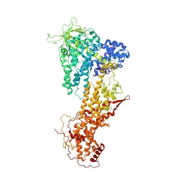 Anti-SOS1 Rabbit Polyclonal Antibody for WB and ELISA - Q07889