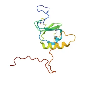Anti-CCL28 Rabbit Polyclonal Antibody for WB, ELISA - Q9NRJ3