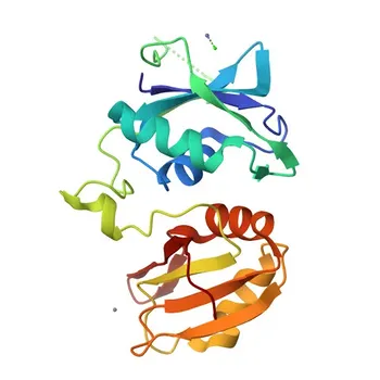 PTBP2 Rabbit pAb for WB, IHC-P, ELISA - Q9UKA9
