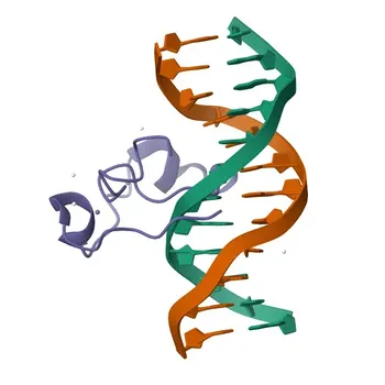 Anticorpo policlonale TET3 di coniglio per WB, IHC-P, IF/ICC, ELISA - O43151
