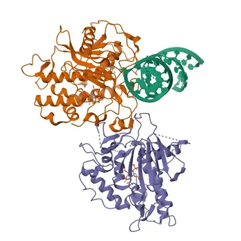 Anticorps polyclonal de lapin anti-ADAR1 pour WB, IF/ICC, IHC-P, ELISA - P55265