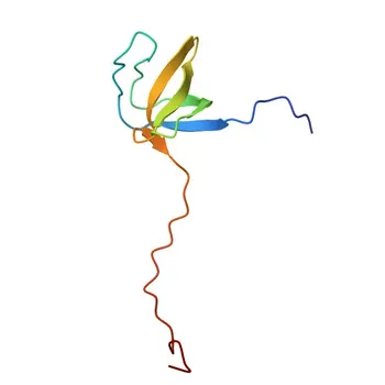 Anti-SH3PXD2A Polyclonal Antibody for WB, IF/ICC, ELISA - Q5TCZ1