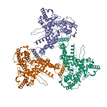 Anticorpo Policlonale di Coniglio Anti-ATG9B per WB, IF-P, ELISA - Q674R7