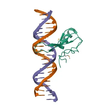 Anti-MECP2 Polyclonal Antibody for WB, ELISA - P51608