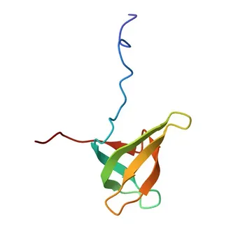Anti-LBR Polyclonal Antibody for WB, IF/ICC, ELISA - Q14739