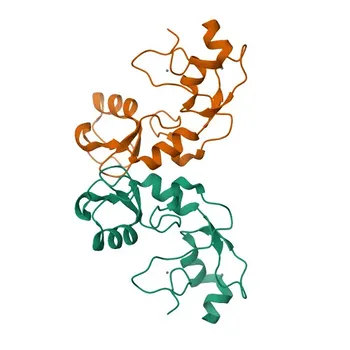 Anti-LNX1 Rabbit Polyclonal Antibody for WB, ELISA - Q8TBB1