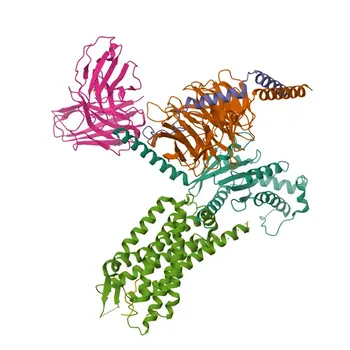 Anti-HCRT Rabbit Polyclonal Antibody for WB, ELISA - O43612