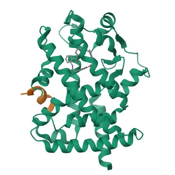 Anti-NFKBIB Rabbit Polyclonal Antibody for WB, IHC-P, ELISA - Q15653