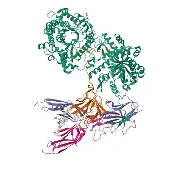 FGF23 Rabbit Polyclonal Antibody for WB, IF/ICC, ELISA - Q9GZV9