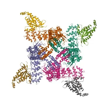 Anti-TRPV4 Polyclonal Antibody for WB and ELISA - Q9HBA0