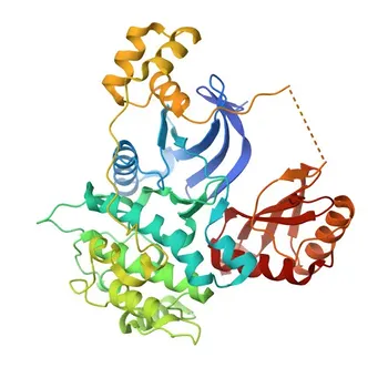 Anticorpo policlonale coniglio anti-MARK1 per WB, IHC-P, ELISA - Q9P0L2