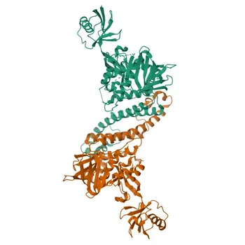 Anti-Integrin beta 1 Polyclonal Antibody for WB, IHC-P, IF/ICC, ELISA - P09055
