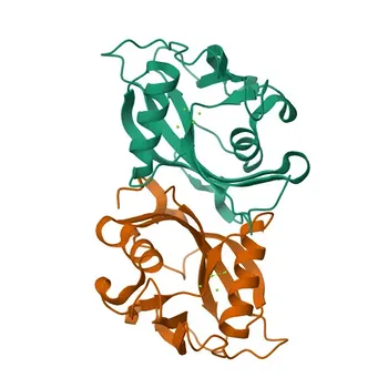 Anti-NUDT15 Polyclonal Antibody for WB, IHC-P, ELISA - Q9NV35