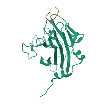 Anti-PAR4 Rabbit Polyclonal Antibody for WB, ELISA - Q96IZ0