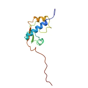 Anti-GTF2IRD1 Polyclonal Antibody for WB, ELISA - Q9UHL9