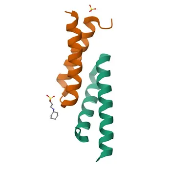Anti-CACYBP Polyclonal Antibody (KO Validated) - Q9HB71