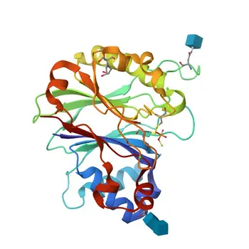 Anti-DNASE1 Rabbit Polyclonal Antibody for WB, ELISA - P24855