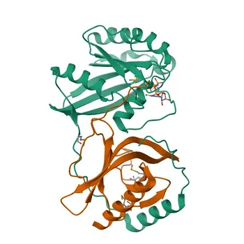 Anti-NUP50 Rabbit Polyclonal Antibody - Q9UKX7