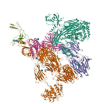 Anti-CFP Rabbit Polyclonal Antibody for WB, IHC-P, IF/ICC, ELISA - P27918