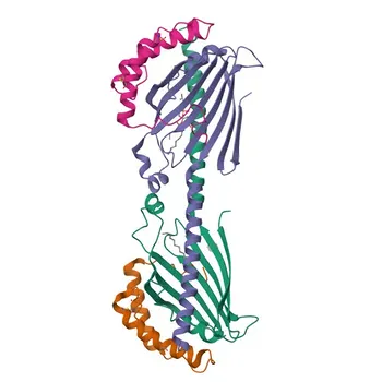 Anti-TRIAP1 Polyclonal Antibody for WB, ELISA - O43715
