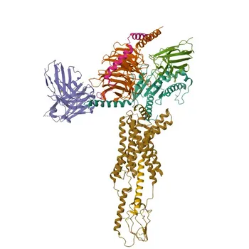 Anti-GIPR Polyclonal Antibody for WB, IHC-P, ELISA - P48546