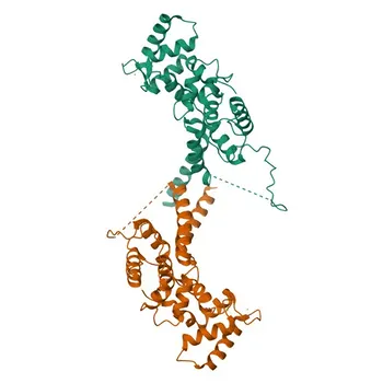 Anti-TMC1 Rabbit Polyclonal Antibody for WB, IHC-P, ELISA - Q8TDI8
