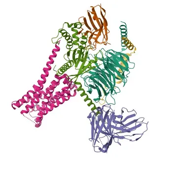 Anti-ADRB3 Rabbit Polyclonal Antibody for WB, IF/ICC, ELISA - P13945