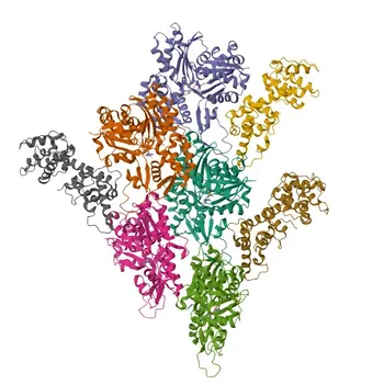 Anti-PLS3 Rabbit Polyclonal Antibody for WB, IP, ELISA - P13797