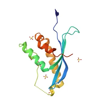 Anti-SNX7 Polyclonal Antibody for WB, ELISA - Q9UNH6