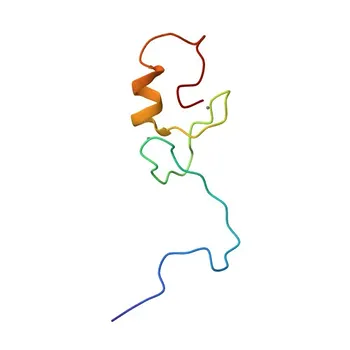 Anti-TRIM39 Rabbit Polyclonal Antibody for WB, ELISA - Q9HCM9