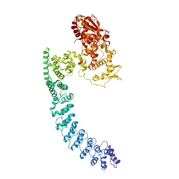 Anti-HACE1 Polyclonal Antibody for WB, IHC-P, ELISA - Q8IYU2