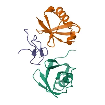 Anti-TAB2 (MAP3K7IP2) Rabbit Polyclonal Antibody for WB, ELISA - Q9NYJ8