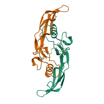 Anti-BMP3 Polyclonal Antibody for WB, IHC-P, ELISA - P12645