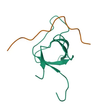 Anti-BAIAP2L1 Rabbit Polyclonal Antibody for WB, ELISA - Q9UHR4