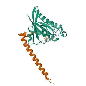 Anti-RAB11FIP1 Polyclonal Antibody for WB, ELISA - Q6WKZ4
